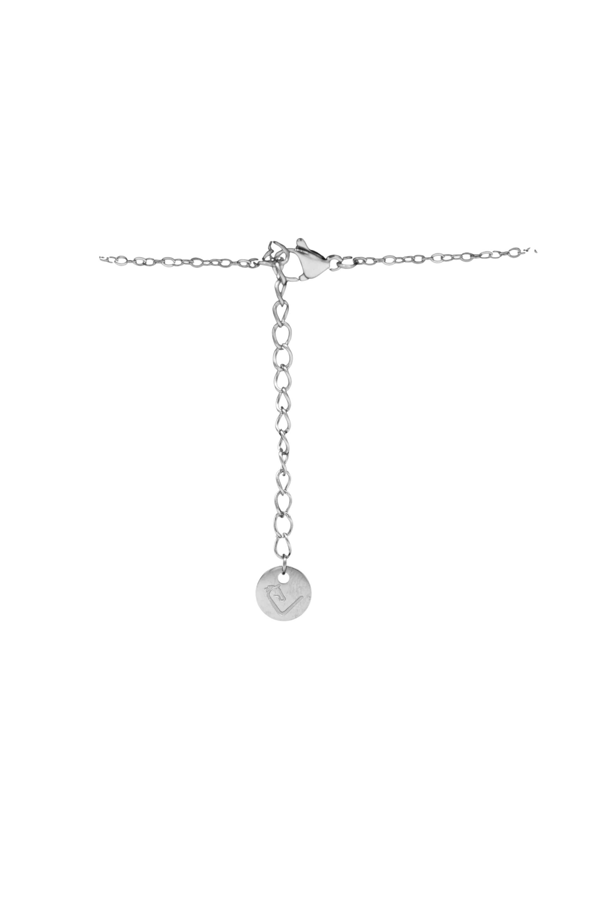 Halsketting - Hoefijzer - Zilver