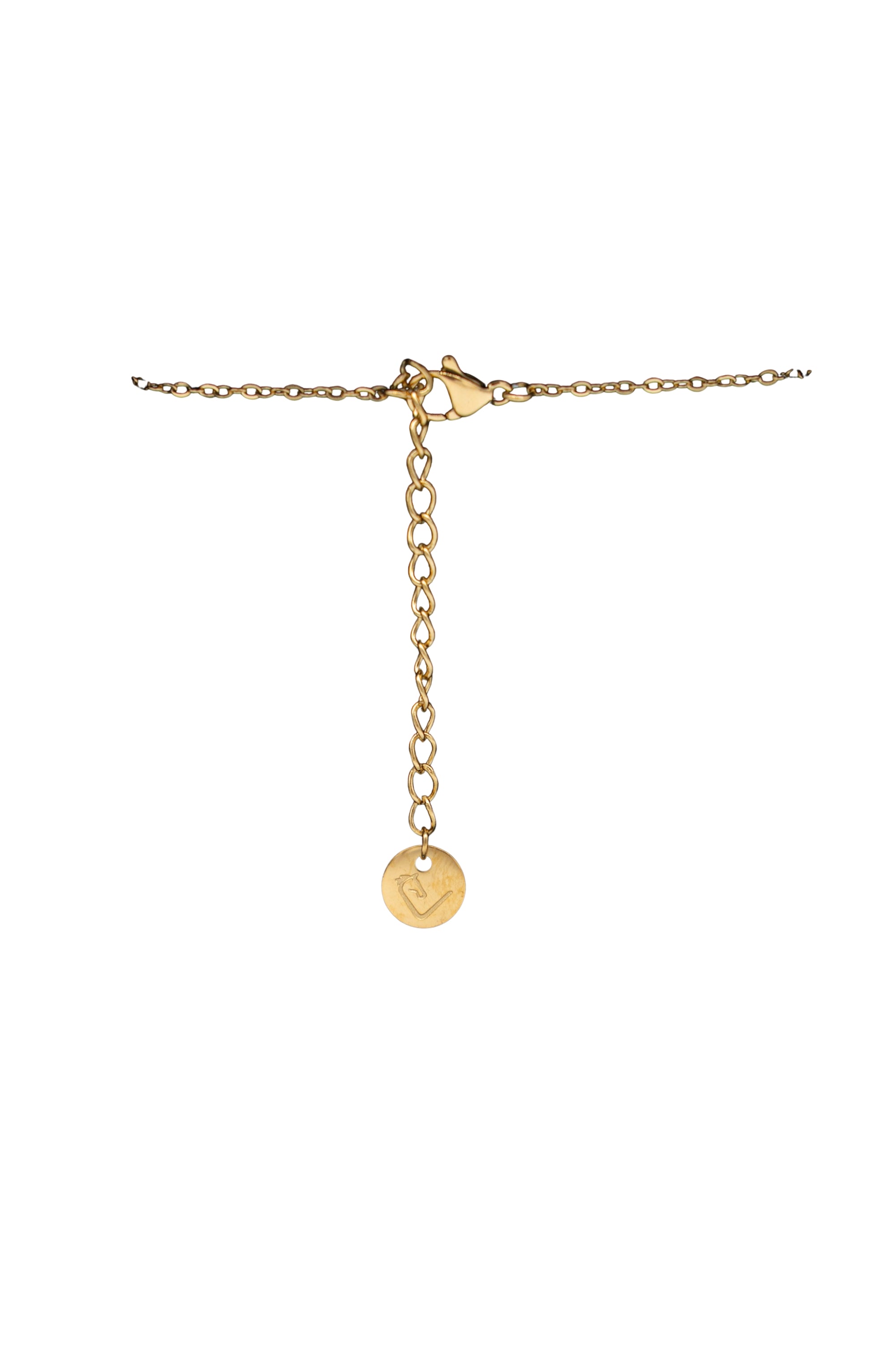Halsketting - Hoefijzer - Goud