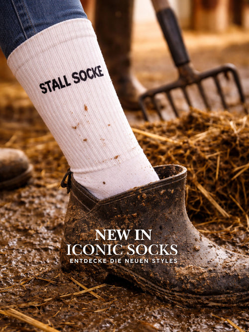 Sports socks - stable socks icon