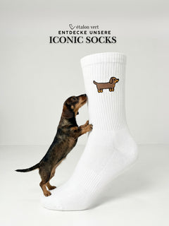 Sportsocken - Dackel Icon