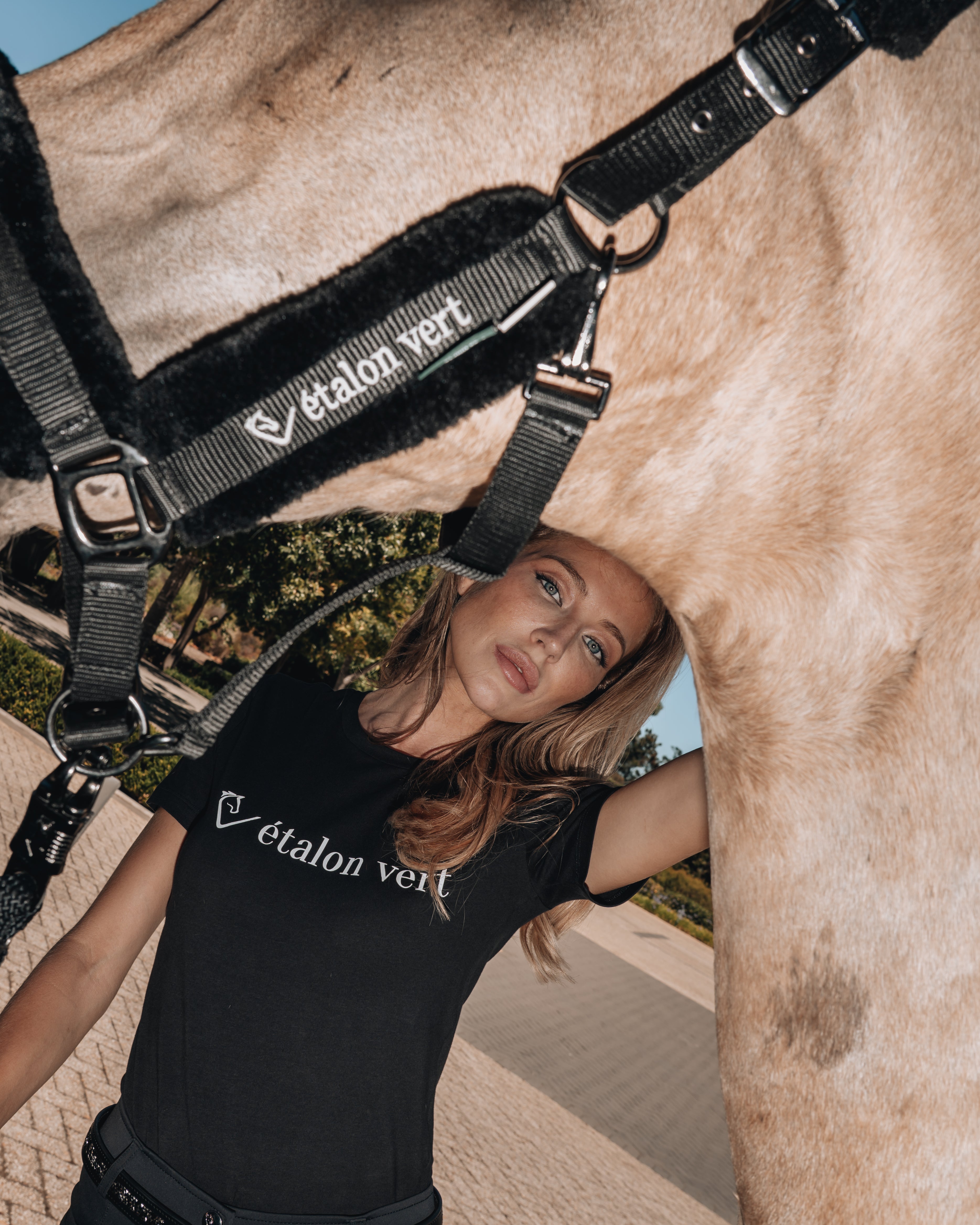 Quiwi Dream - Black - Horses & Cocktail Edition