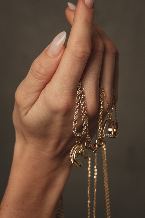 Halskette - Hufeisen - Gold