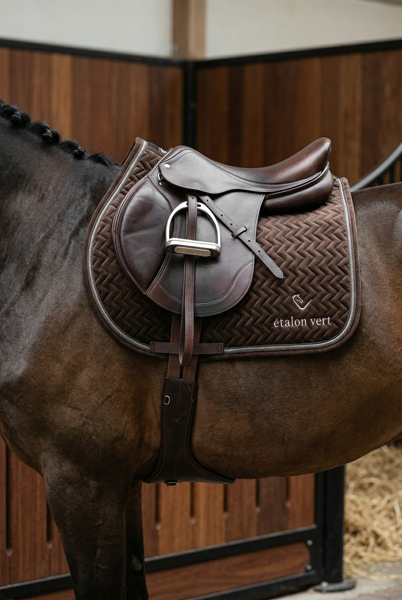 Schabracke Springen - Brown Velvet