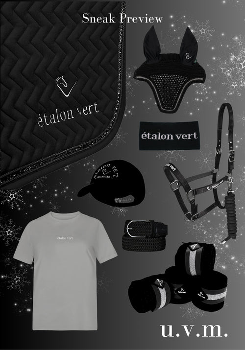 Equestrian Adventskalender für Pferd & Reiter 2025