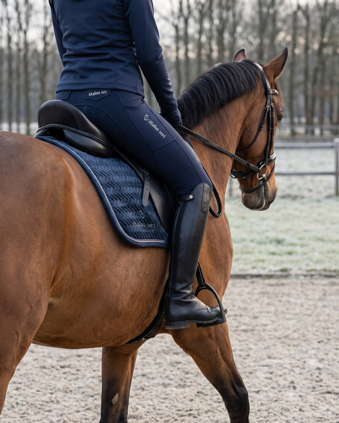 Negro 2.0 Winterreitleggings Navy – kompletter Reitlook im Sattel