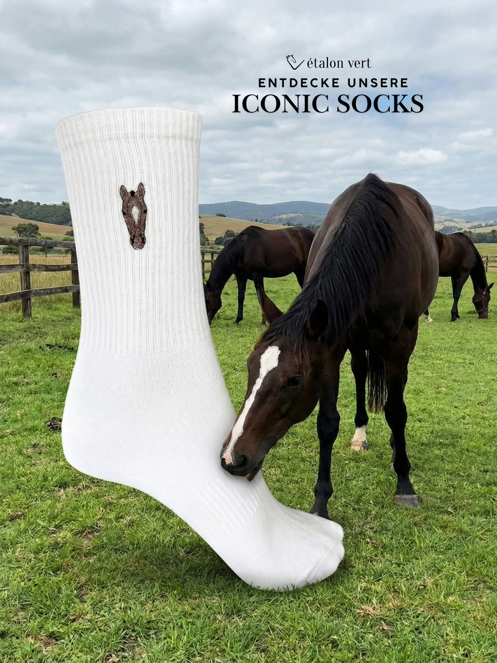 Sports socks - Brown Horse Icon