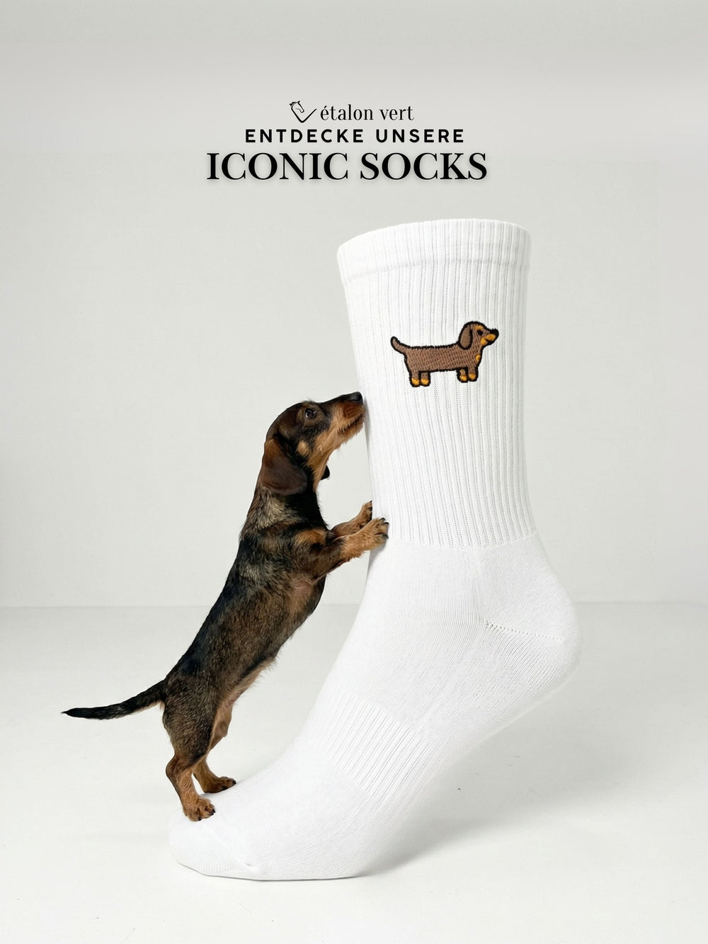 Chaussettes de sport - Teckel Icon