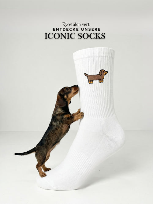 Sportsocken - Dackel Icon