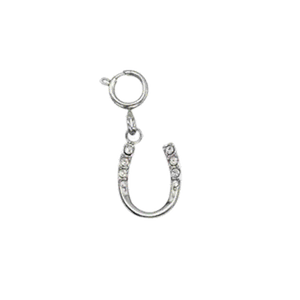 Breloques bracelet argent