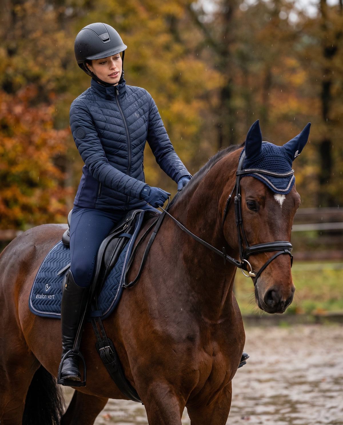 Cassini Steppjacke 2.0 – Navy