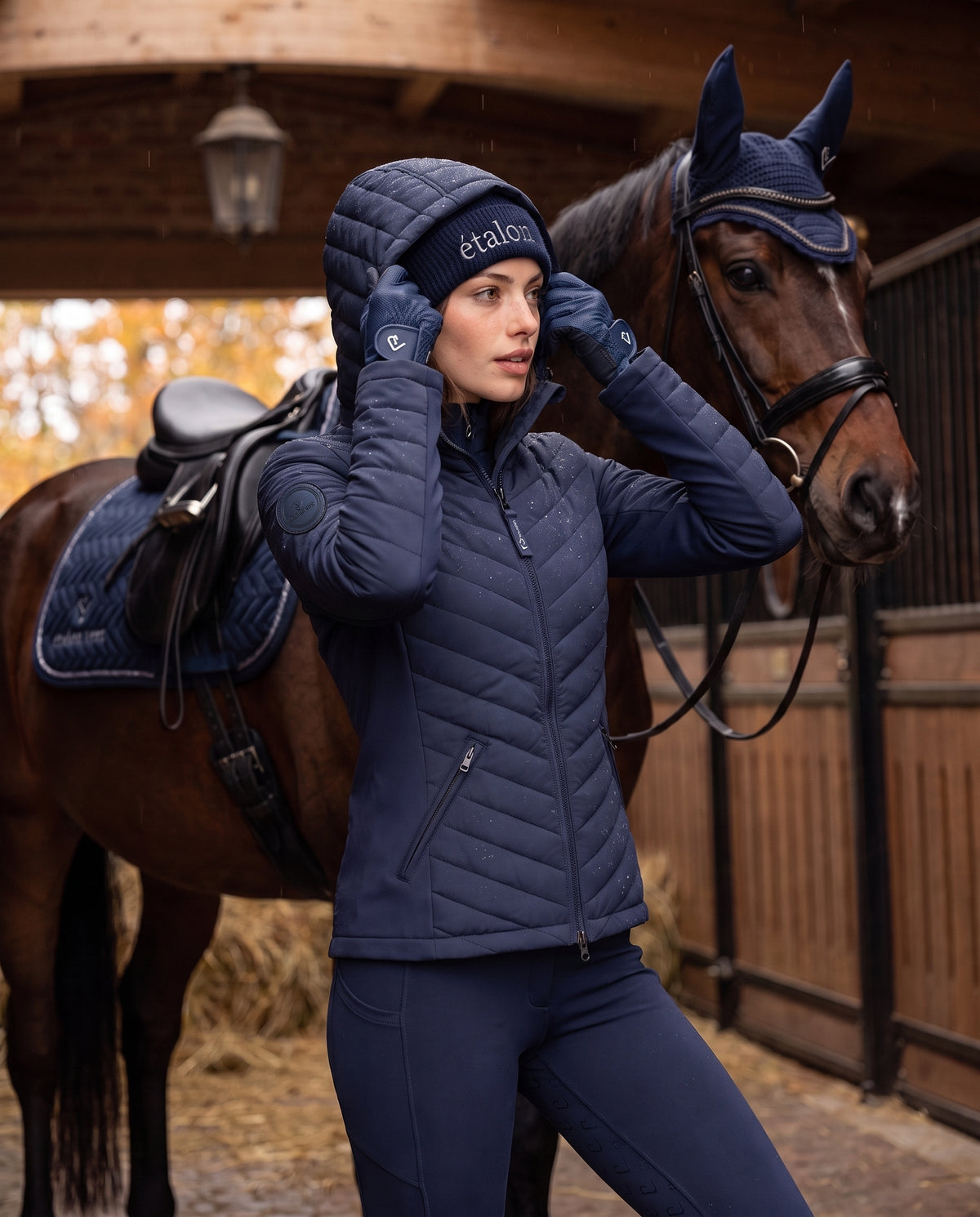 Cassini Steppjacke 2.0 – Navy