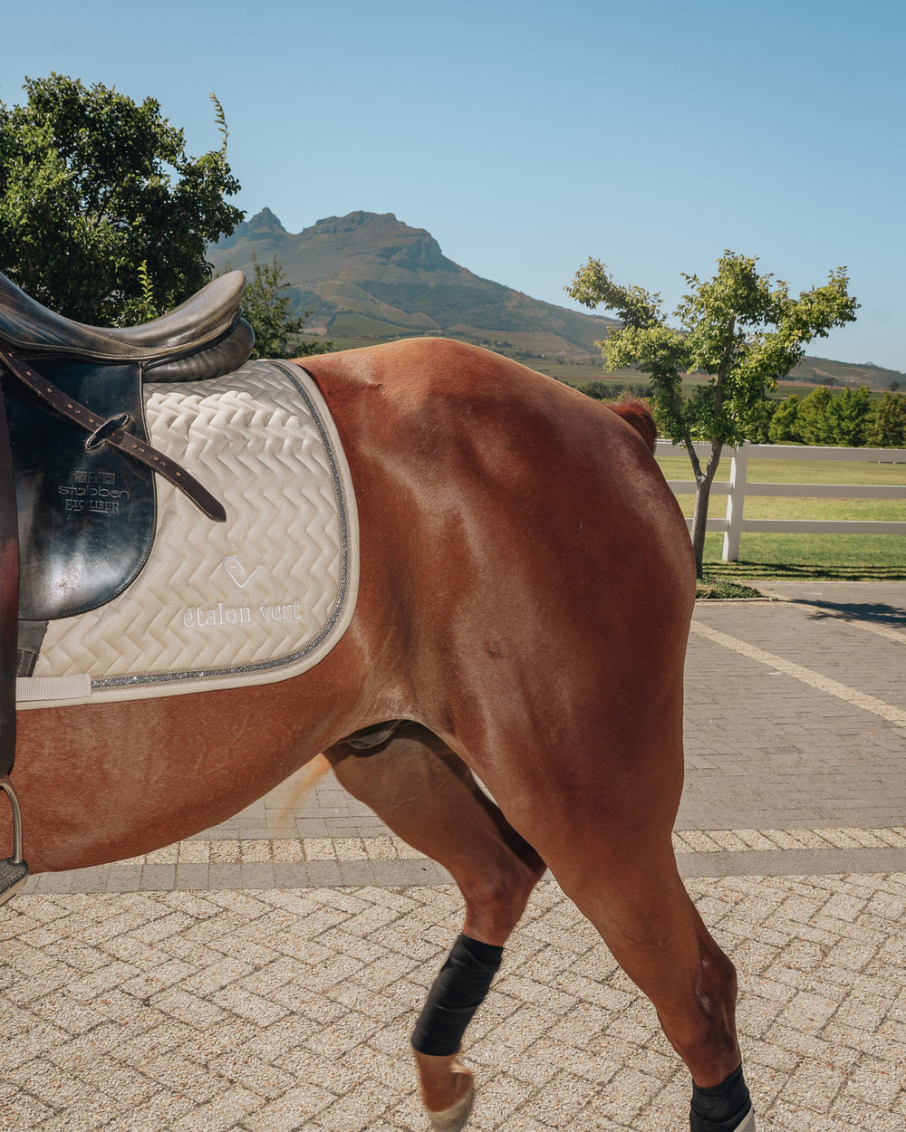 Dressage Saddle Pad - Beige Velvet