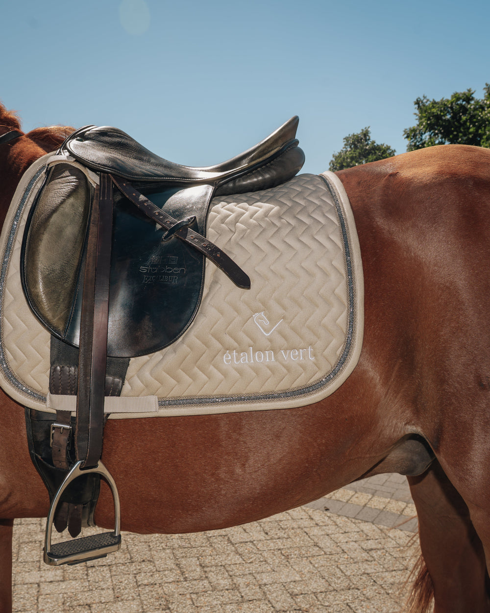 Dressage Saddle Pad - Beige Velvet