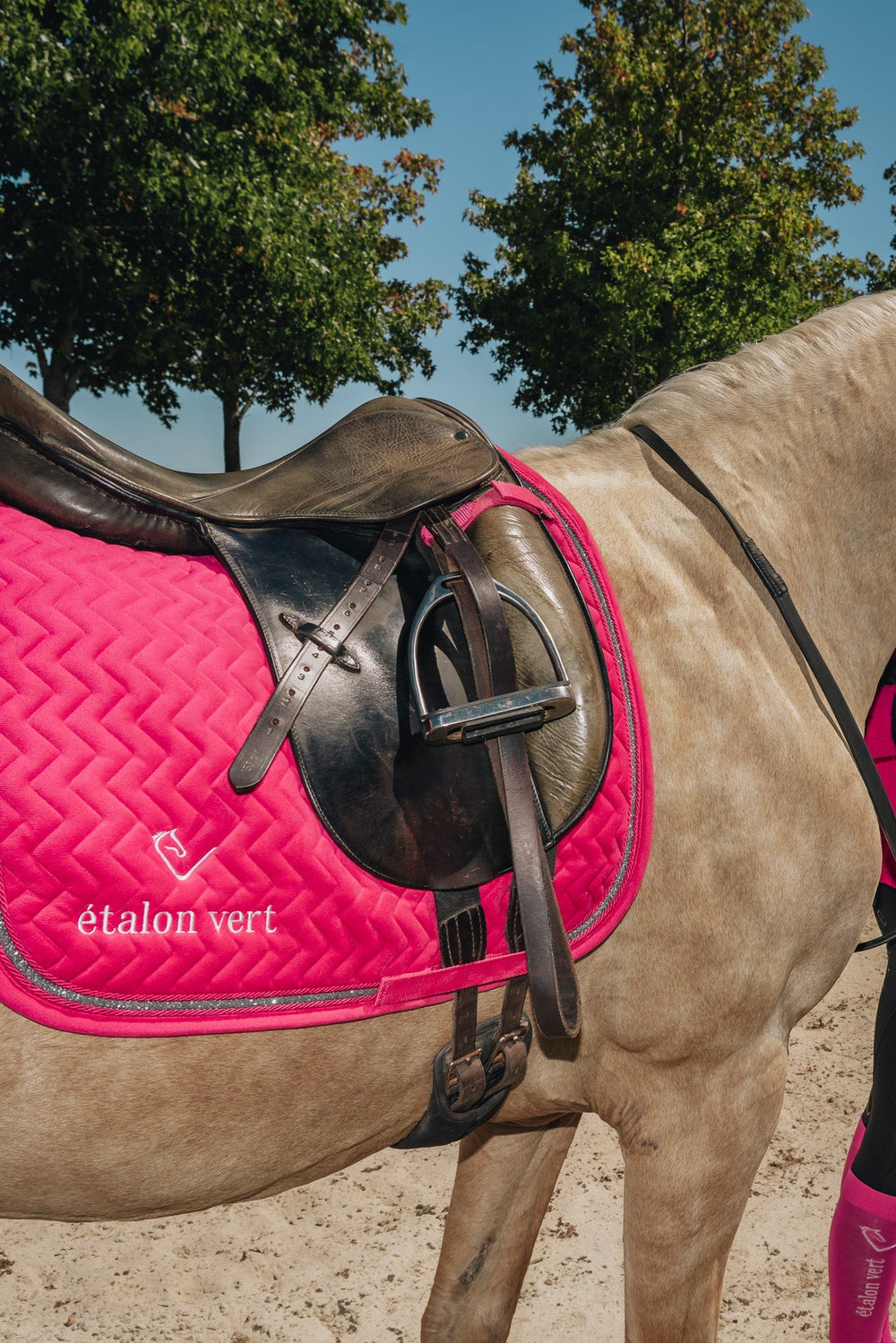 Dressage Saddle Pad - Very Berry Velvet