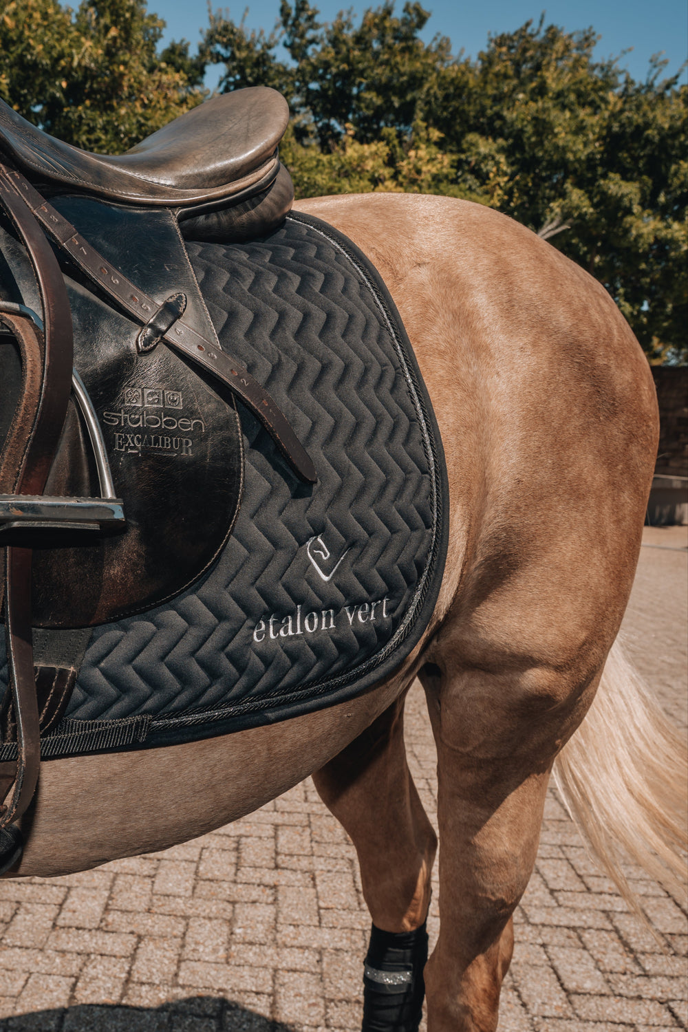 Dressage Saddle Pad - Black Velvet