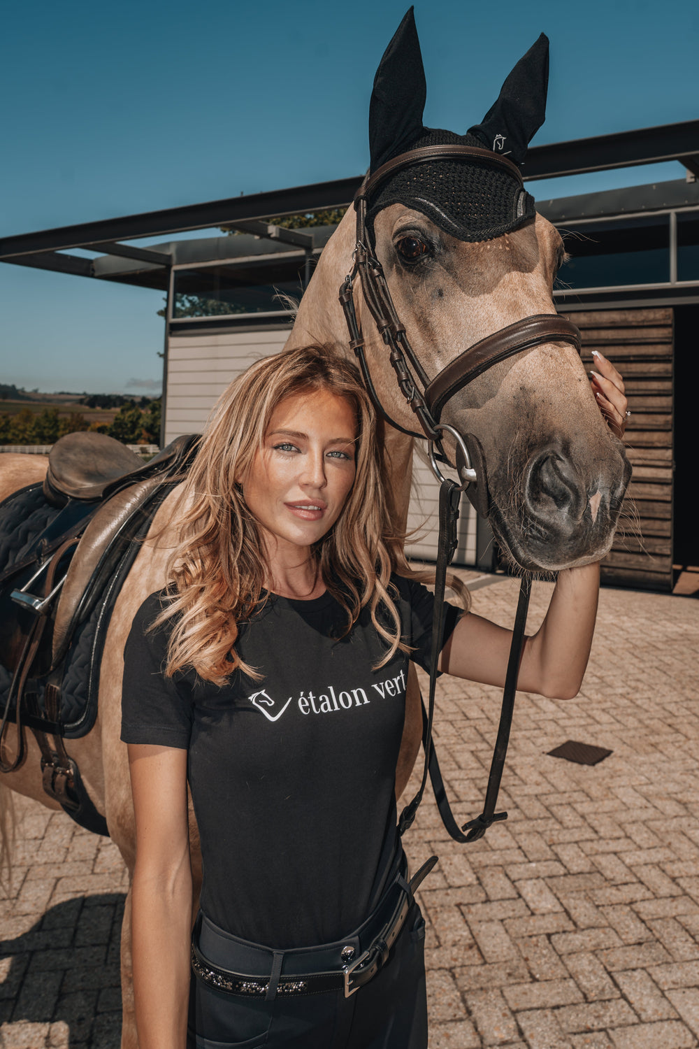 Étalon Vert Fliegenohren Dinken Black am Pferd