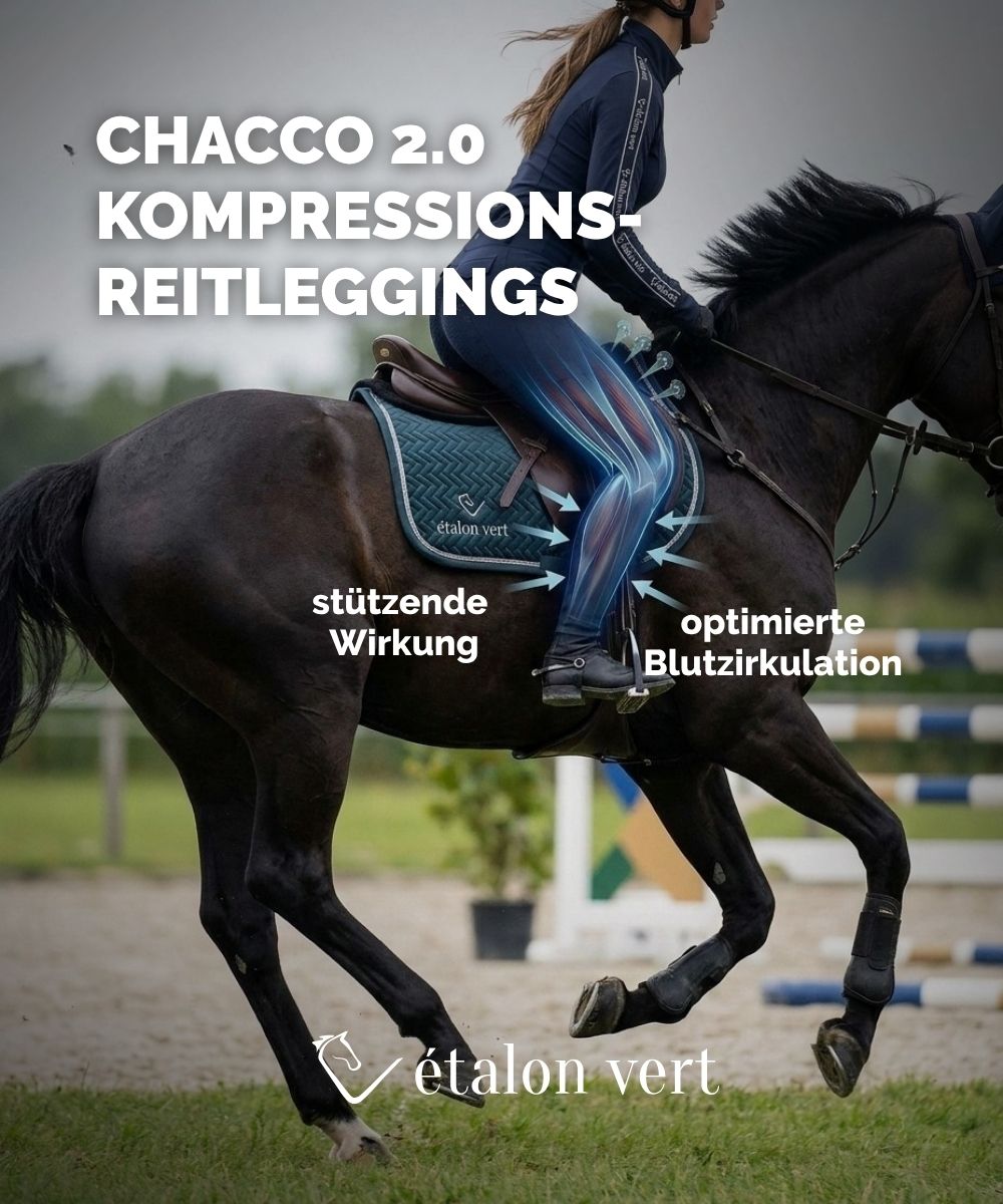 Chacco 2.0 - Compressielegging Fullgrip - Zwart