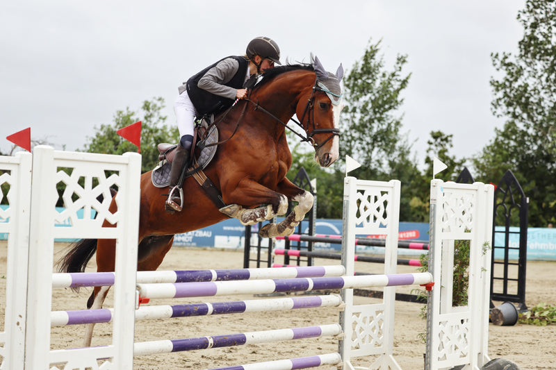 Original Community-Look von @horse.paradise mit étalon vert
