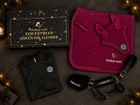Kalenderbox und vier Highlights: Schabracke und Fliegenohren in Very Berry, schwarzes Funktionsshirt und Fellhalfter