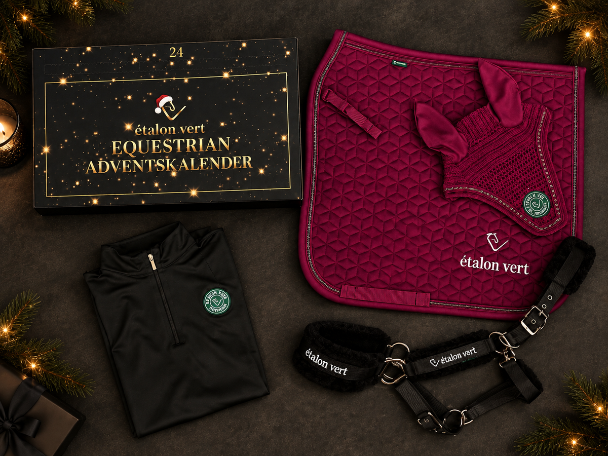 Kalenderbox und vier Highlights: Schabracke und Fliegenohren in Very Berry, schwarzes Funktionsshirt und Fellhalfter