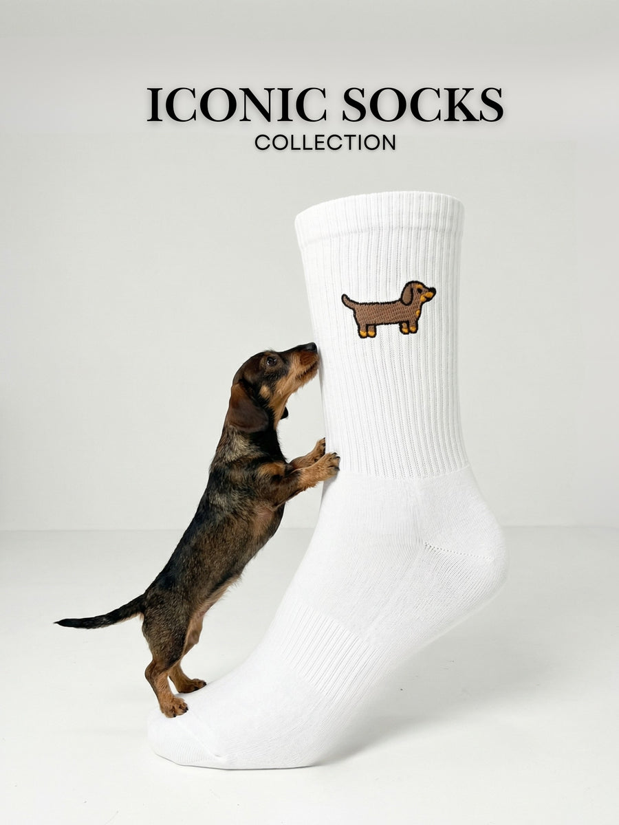 Iconic Socks