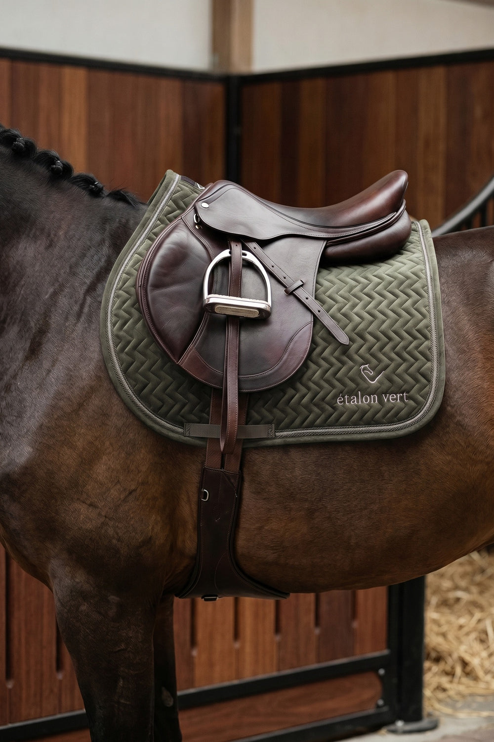 Schabracke Springen Olive Velvet – am Pferd